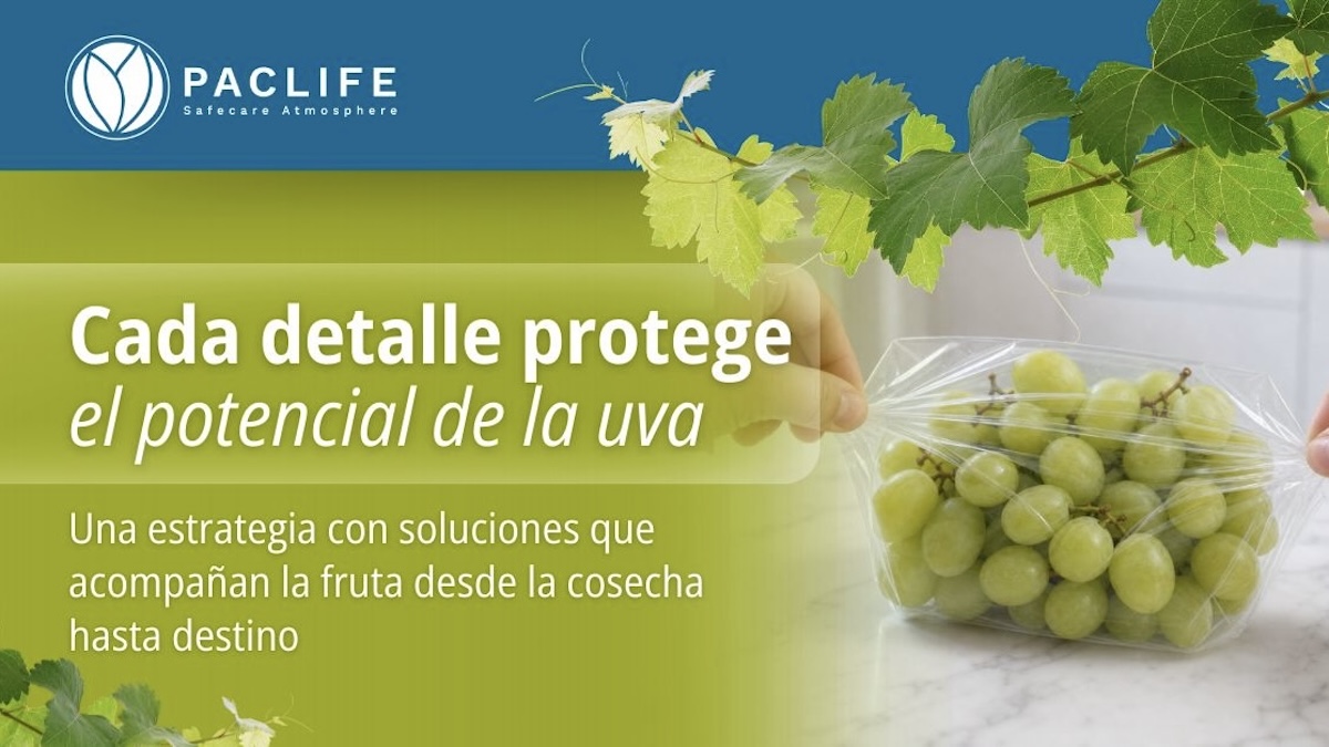 s9v3SLv4XZEatcD5WjlCmADgMpLPQakd2xJHPk9f 2.jpg